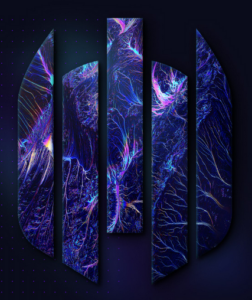 Singularity XDR04